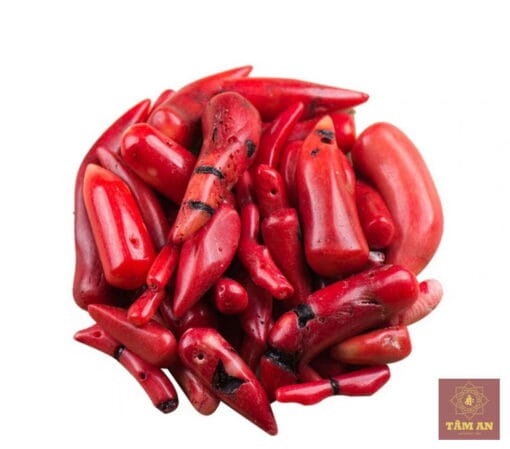 Thất Bảo: Đá San hô đỏ - Ảnh 3