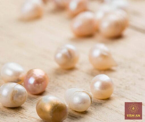 Thất bảo: Trân Châu (Ngọc trai) - Ảnh 3