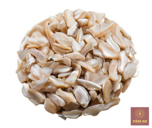 Thất bảo: Xà cừ - Ảnh 4