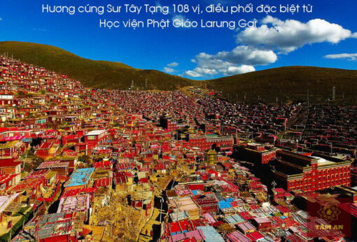 Hương cúng sur 108 dược vị từ Tu viện Larung Gar Tây Tạng - Ảnh 2